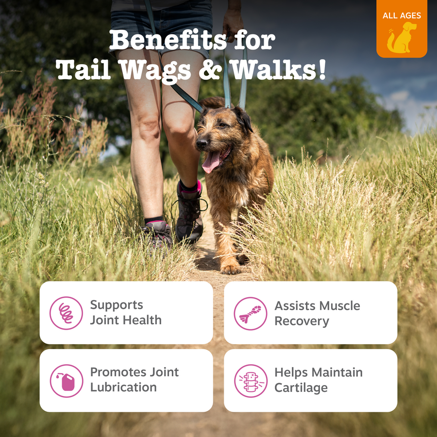Hip & Joint Bites for Dogs
