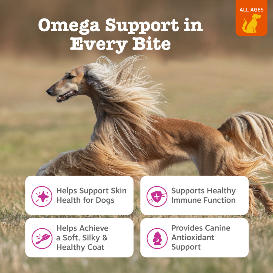 Skin & Coat Bites for Dogs