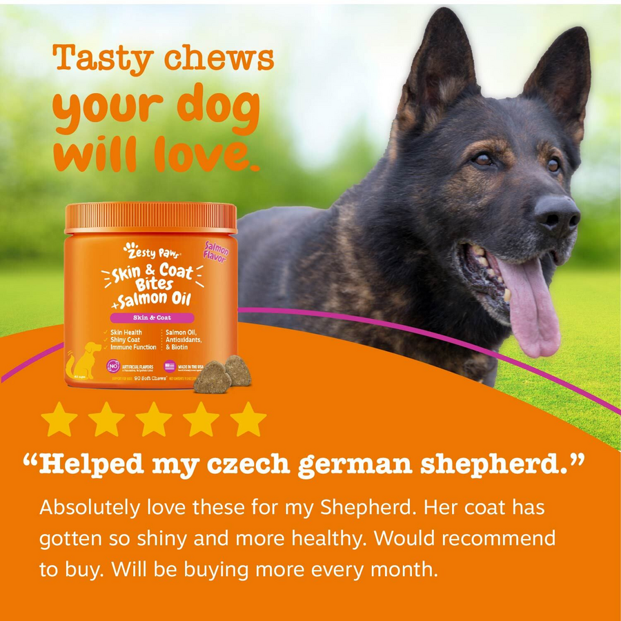 Skin & Coat Bites + Salmon Oil Soft Chews for Dogs