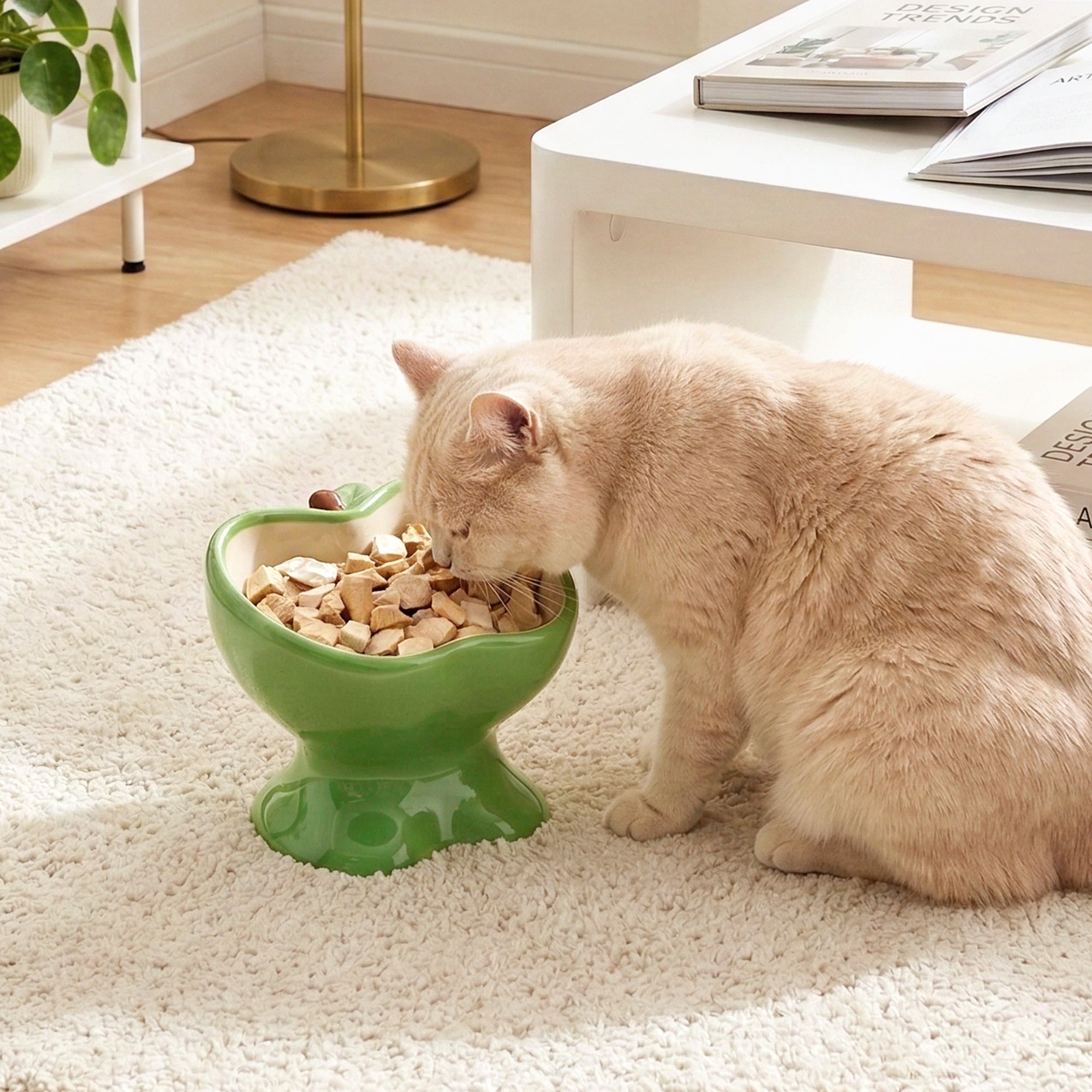 9oz Apple Bliss Elevated Cat Bowl