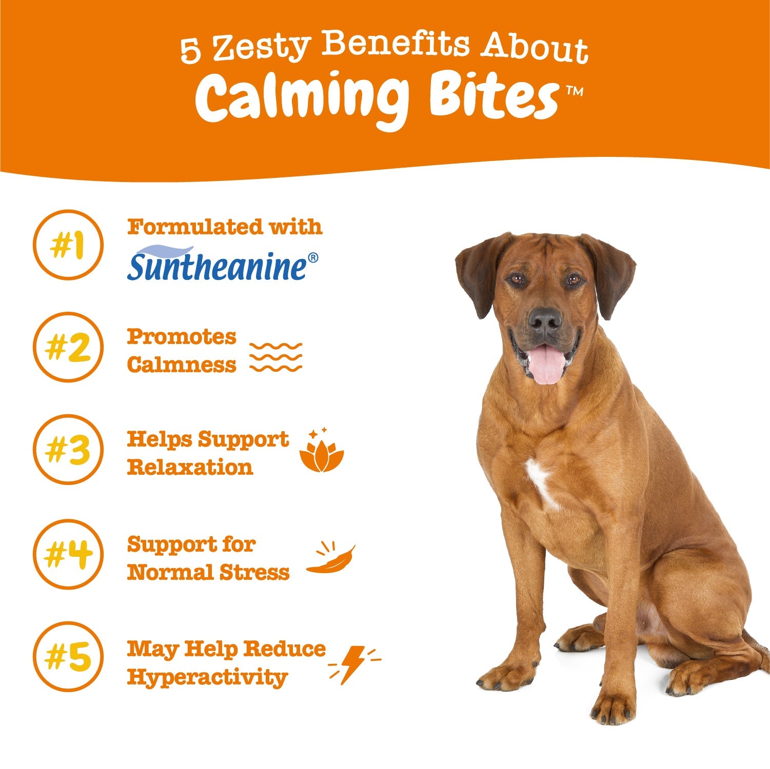 Calming Bites for Dogs