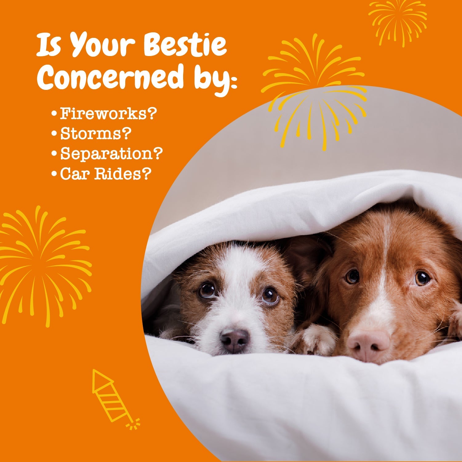 Calming Bites for Dogs