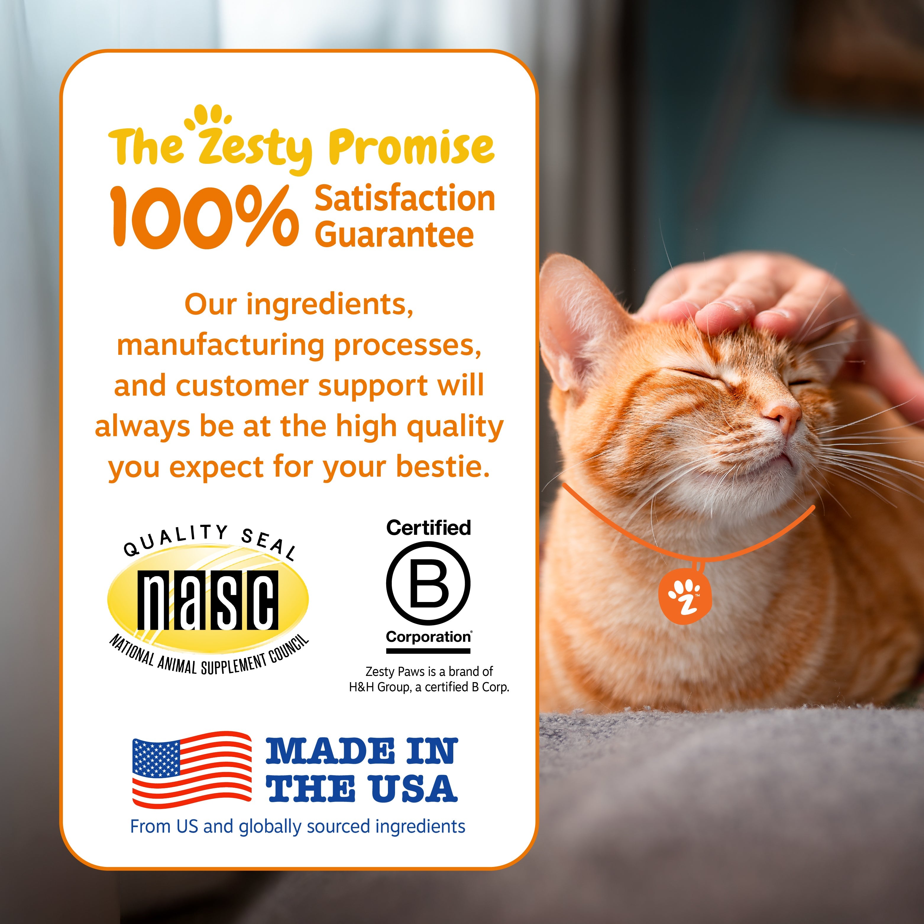 Calming Bites™ for Cats