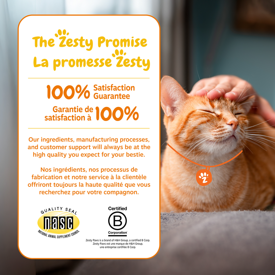 Allergy & Immune Bites™ for Cats