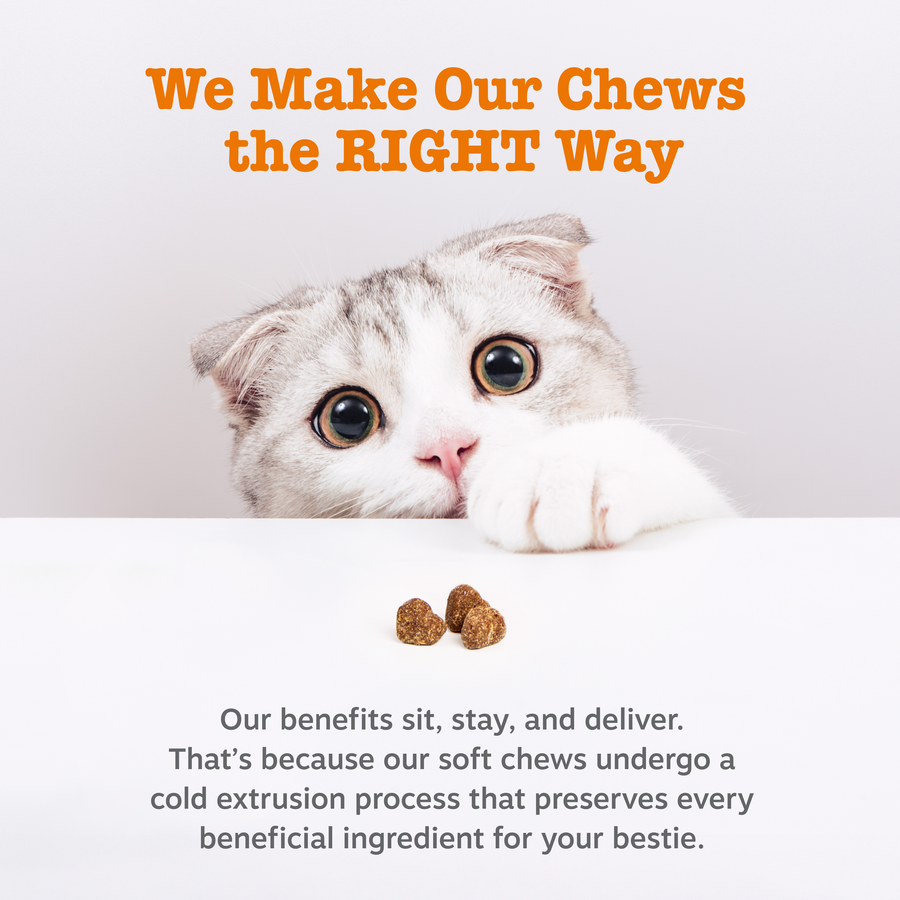 Hairball Bites™ for Cats