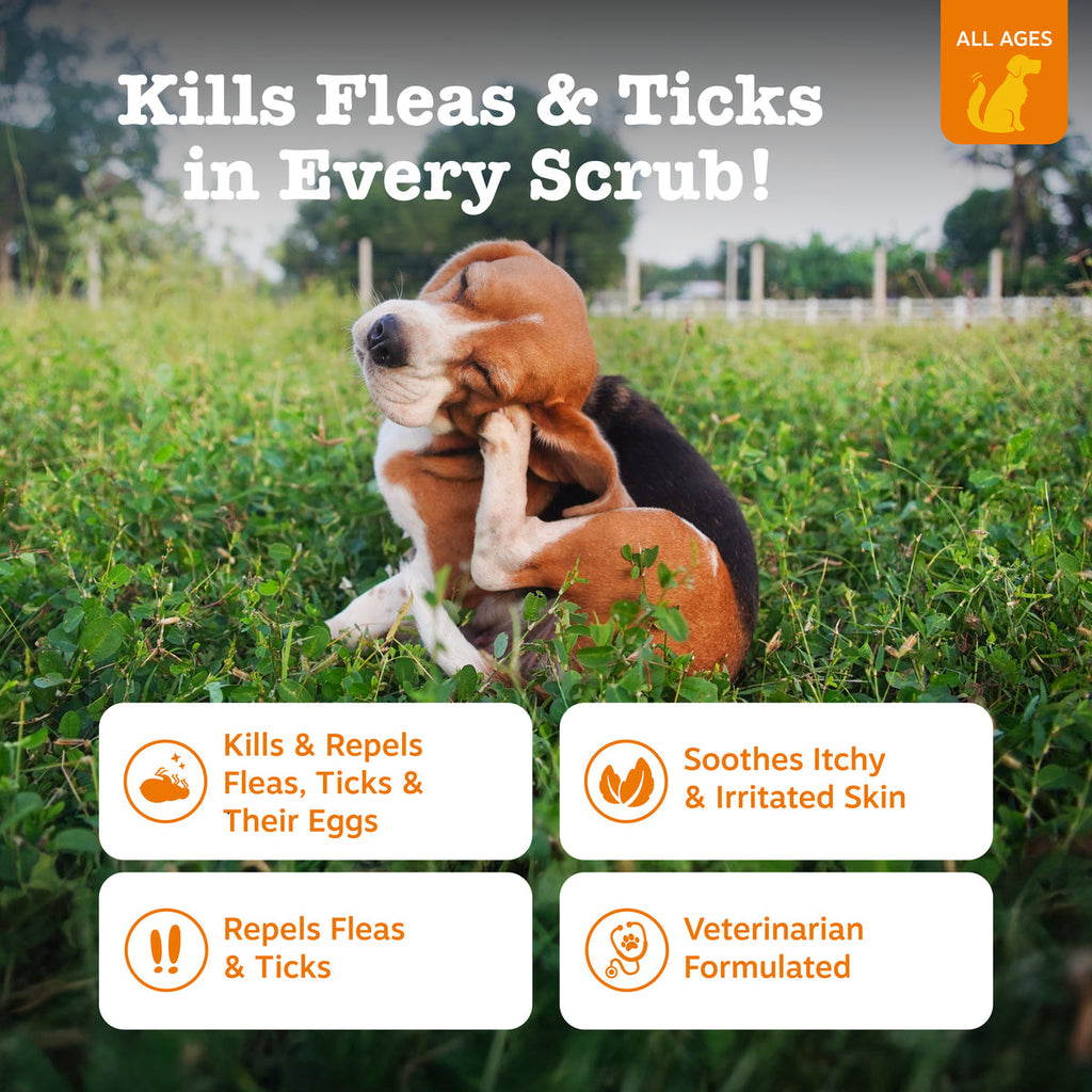 Flea & Tick Shampoo + Spray | Bundle for Dogs
