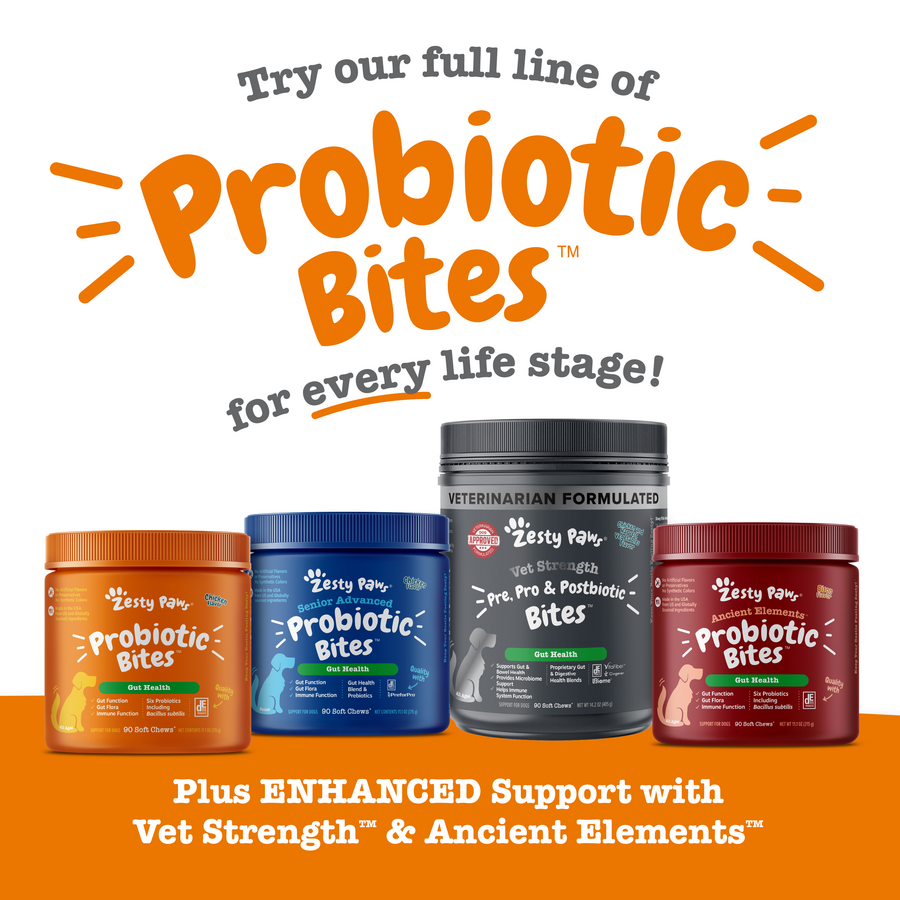 Probiotic Bites for Dogs