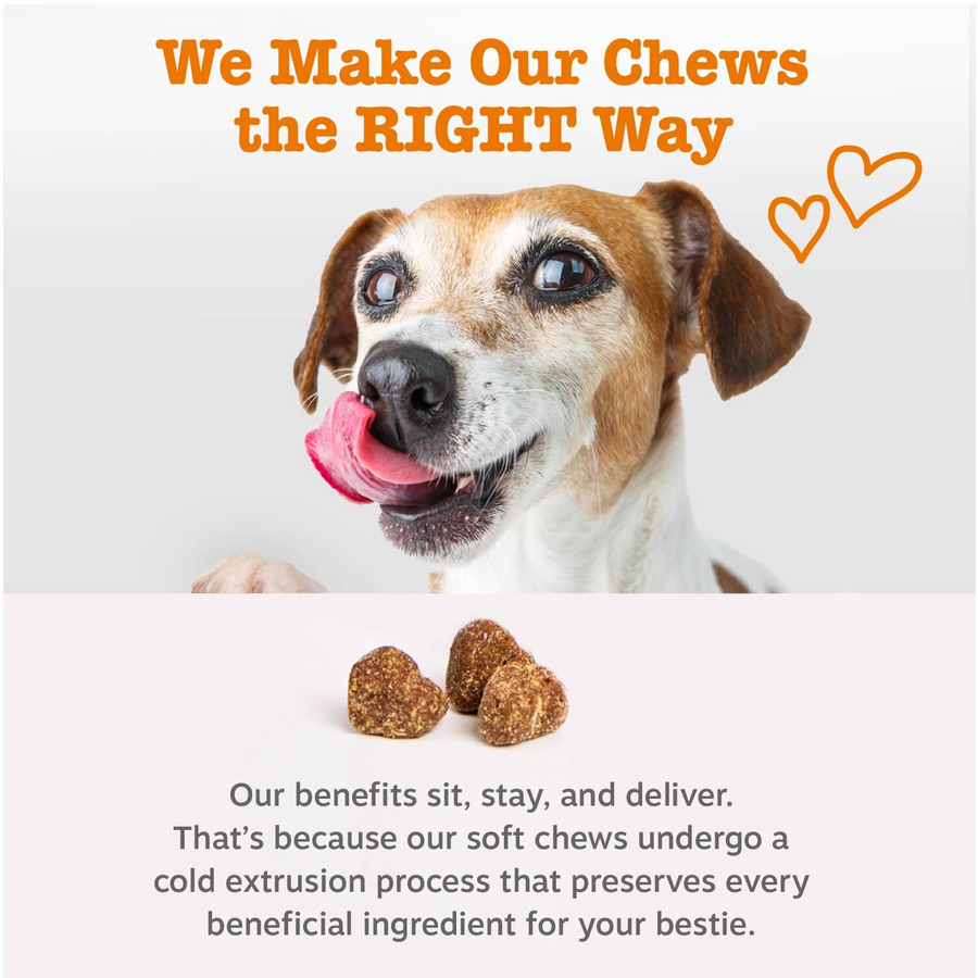 8-in-1 Multivitamin Bites for Dogs