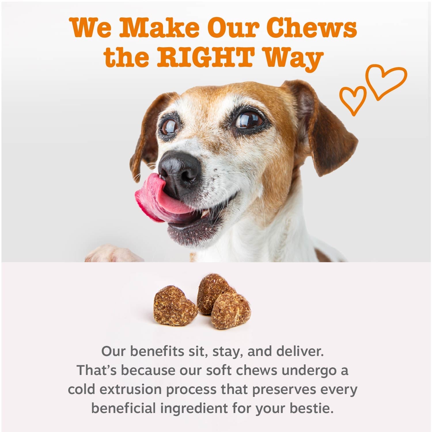 Puppy Probiotic Bites
