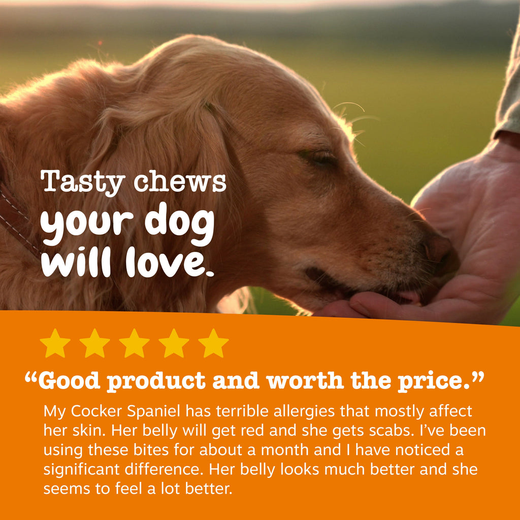 Allergy & Immune Mini Bites for Small Dogs