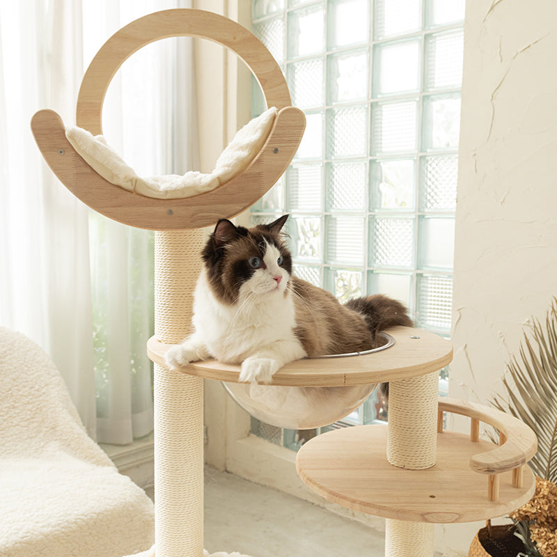 Transformable Cat Tree Accessories