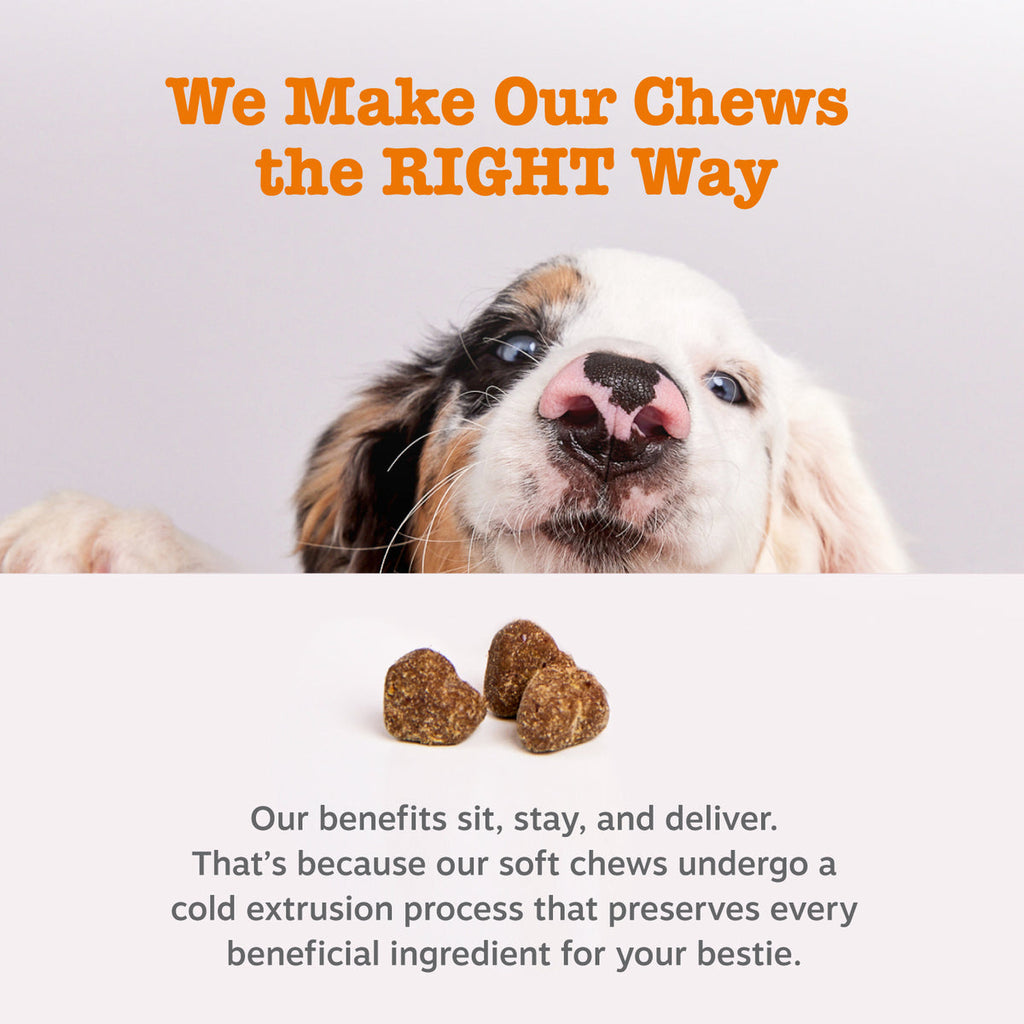 Ancient Elements™ Probiotic Bites™ for Dogs