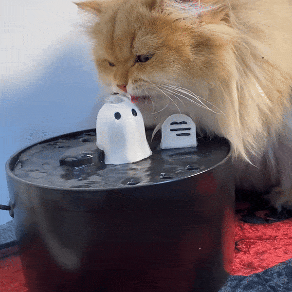 50oz/1.5L Ghost Drinking Fountain-Elevate Your Cat's Hydration