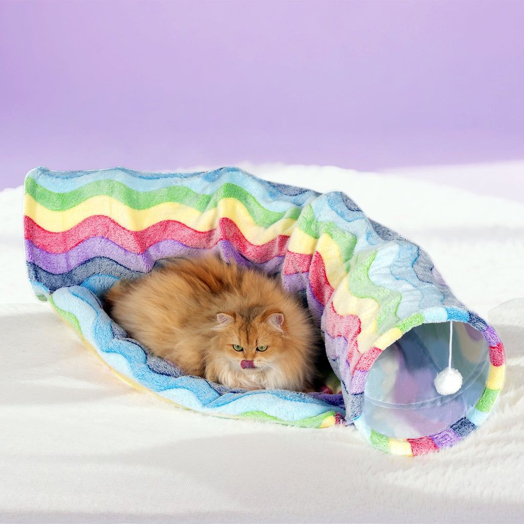 Elves in the Rainbow Cat Tunnel