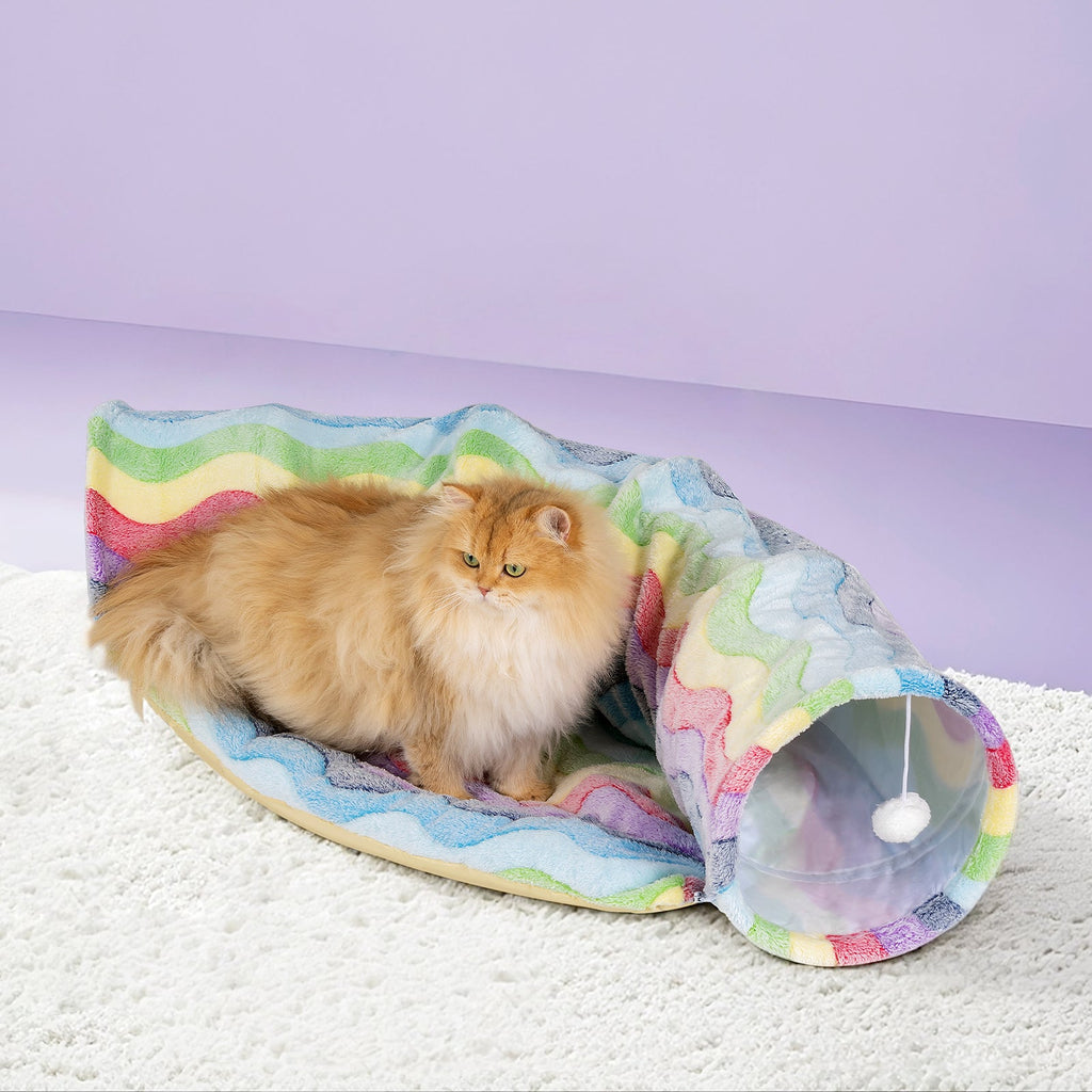 Elves in the Rainbow Cat Tunnel