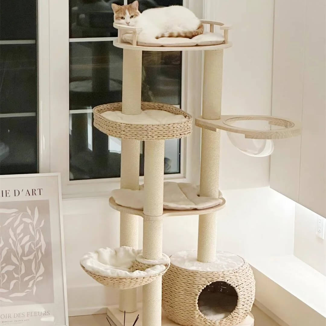 Whispering Hollow Cat Tree