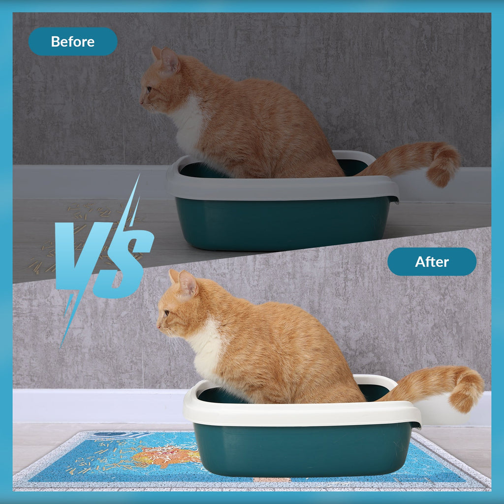Summer Pool Cat Litter Mat