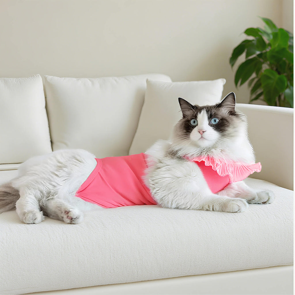 Soft Cotton Post-Surgery Cat Recovery Suit