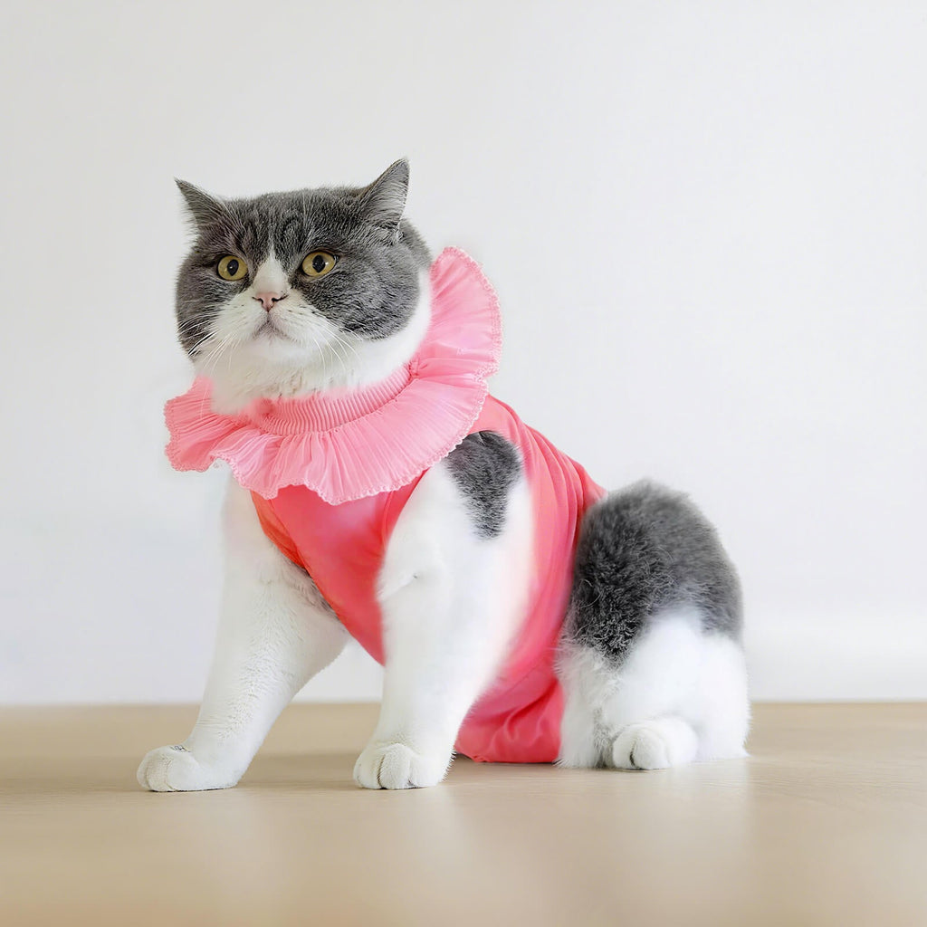 Soft Cotton Post-Surgery Cat Recovery Suit