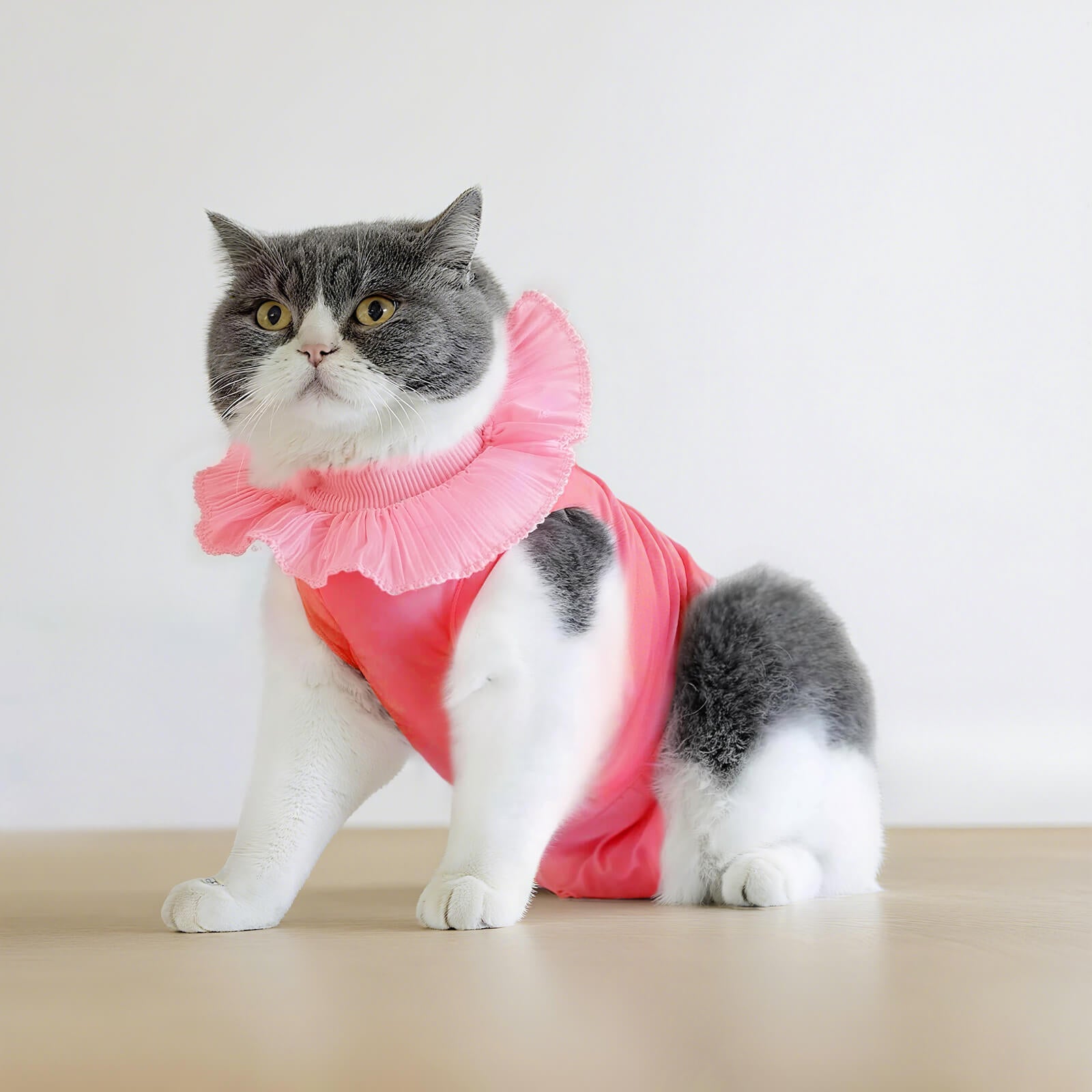 Soft Cotton Post-Surgery Cat Recovery Suit