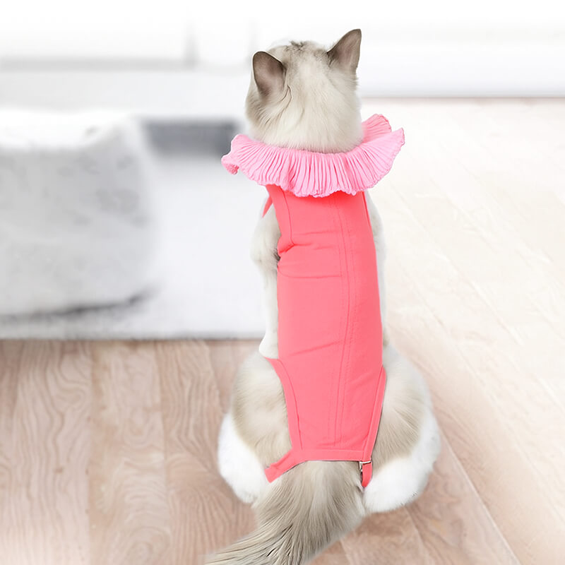 Soft Cotton Post-Surgery Cat Recovery Suit