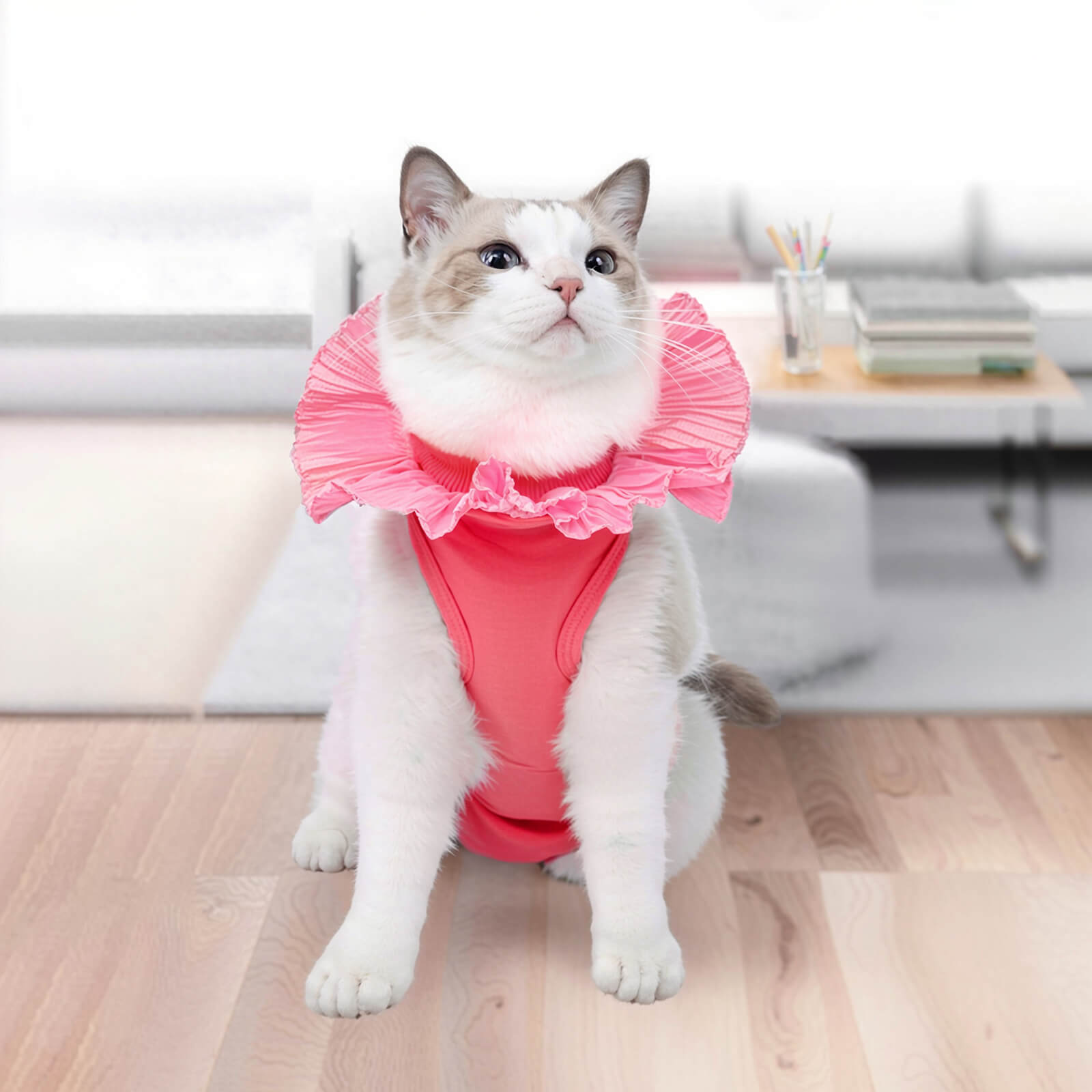 Soft Cotton Post-Surgery Cat Recovery Suit