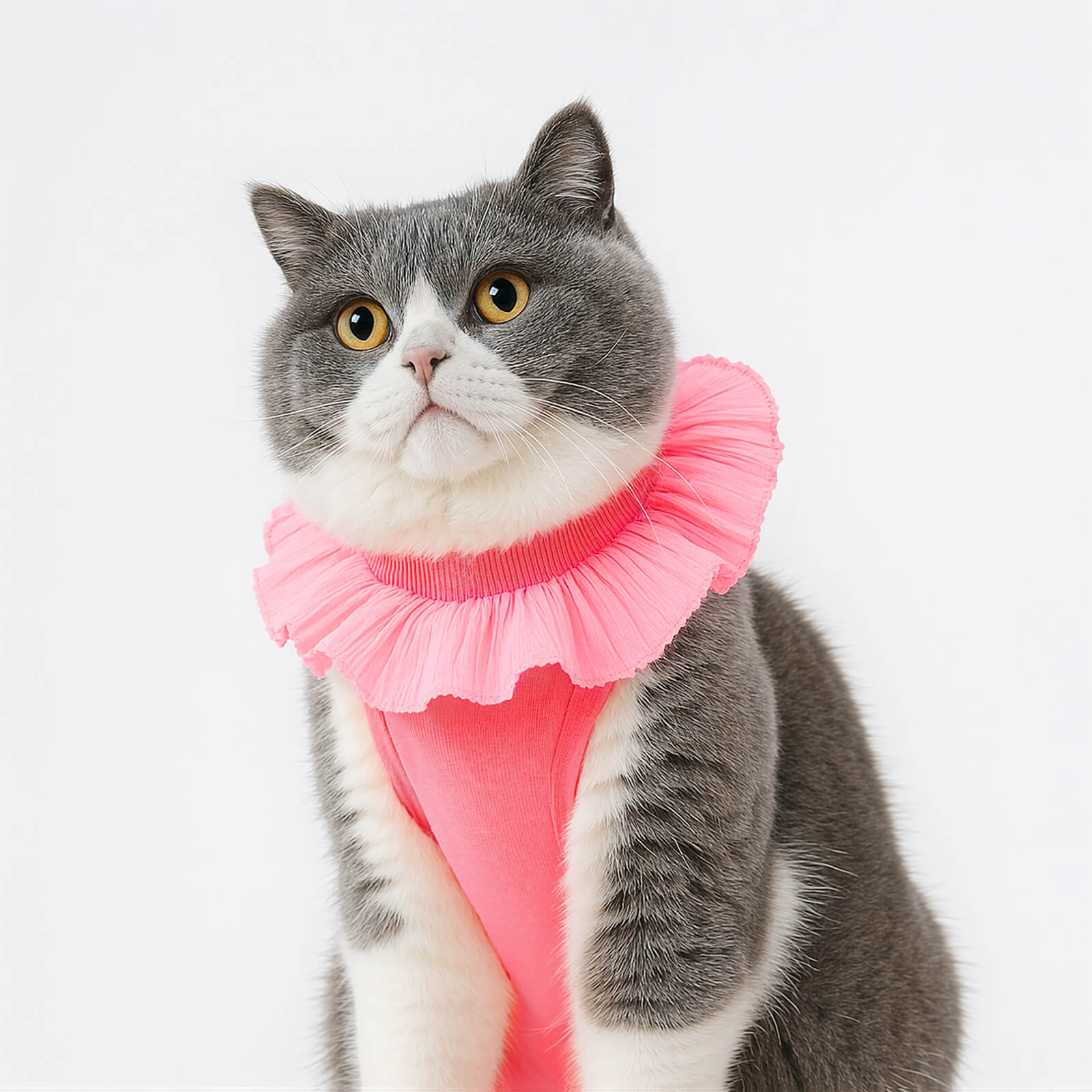 Soft Cotton Post-Surgery Cat Recovery Suit