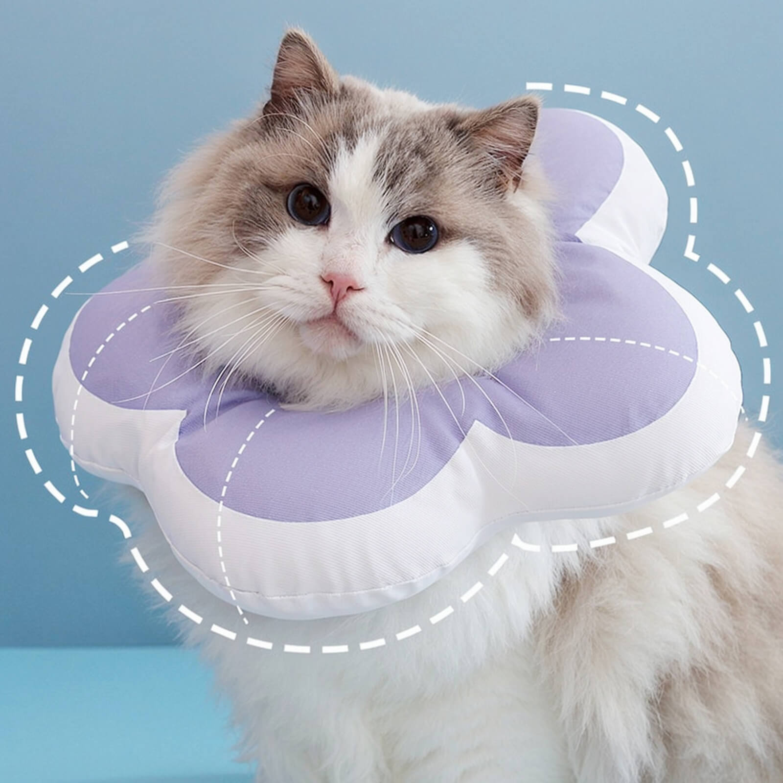 Protective Recovery Cone Cat Collar