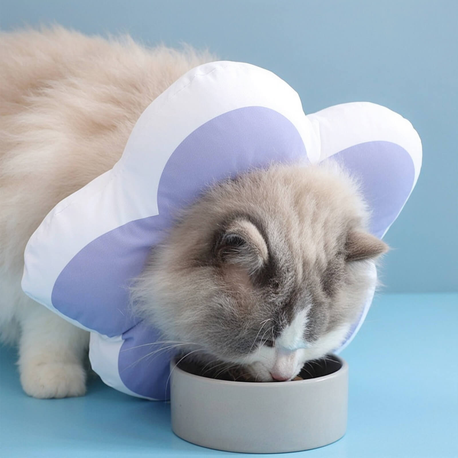 Protective Recovery Cone Cat Collar
