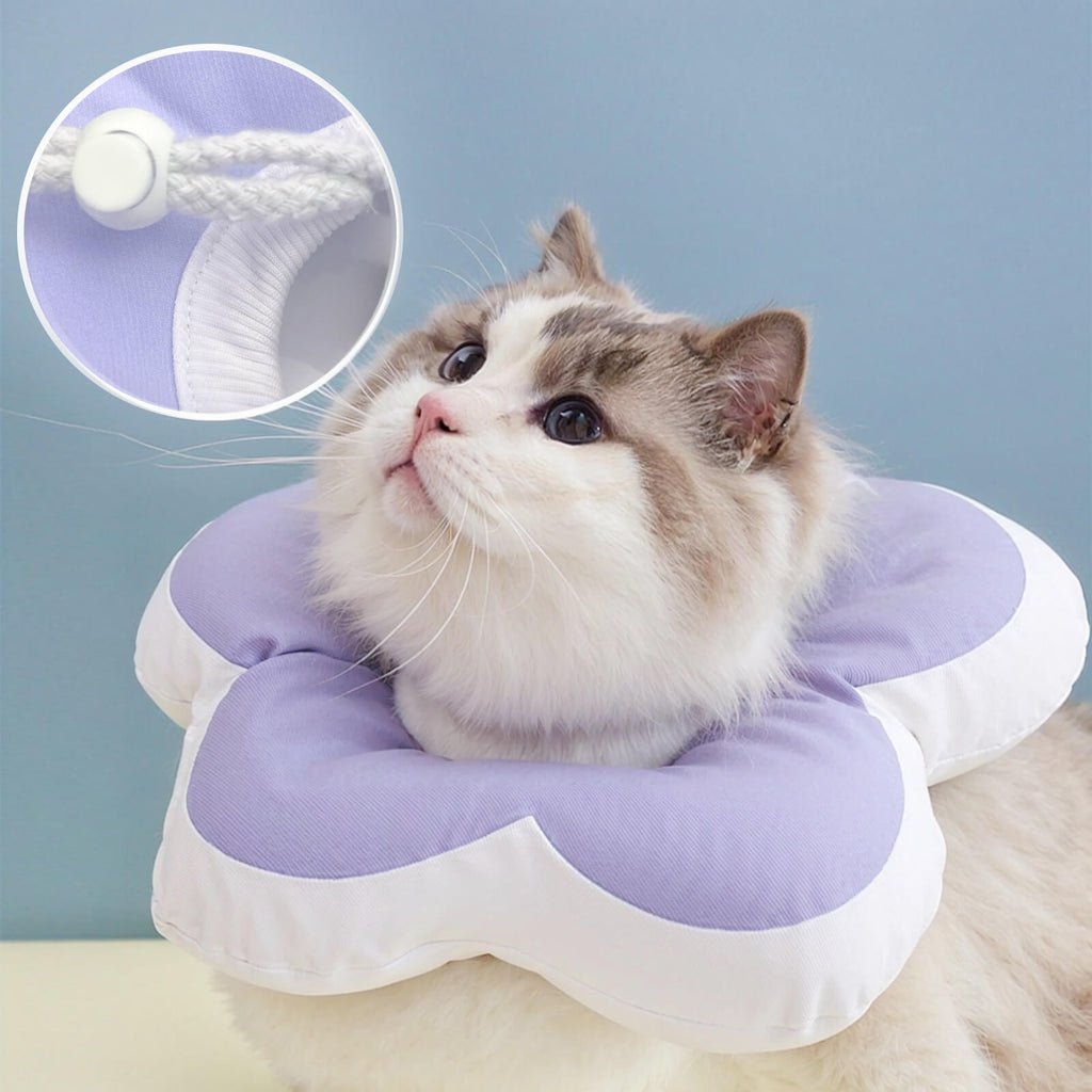 Protective Recovery Cone Cat Collar
