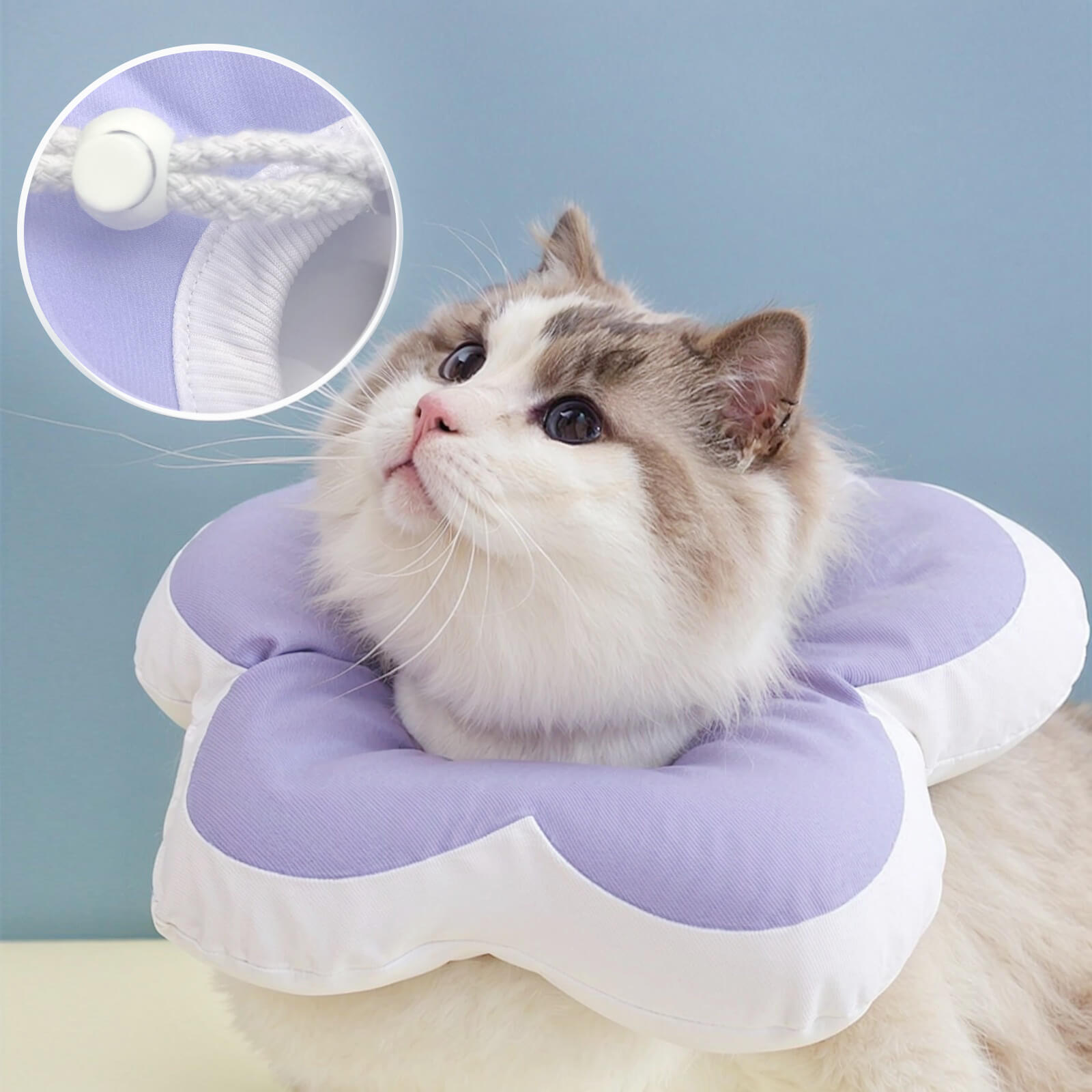 Protective Recovery Cone Cat Collar