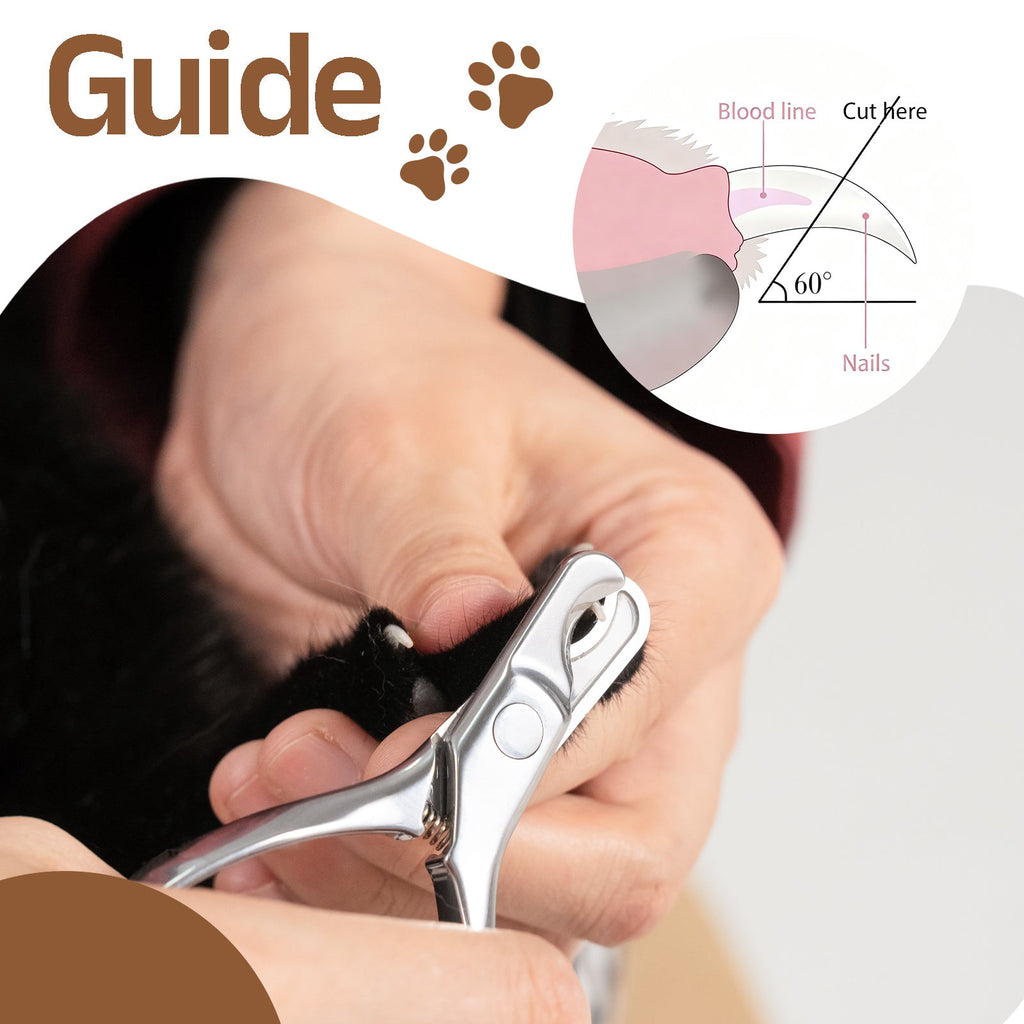 Stainless Steel Pet Nail Clipper with Nail File