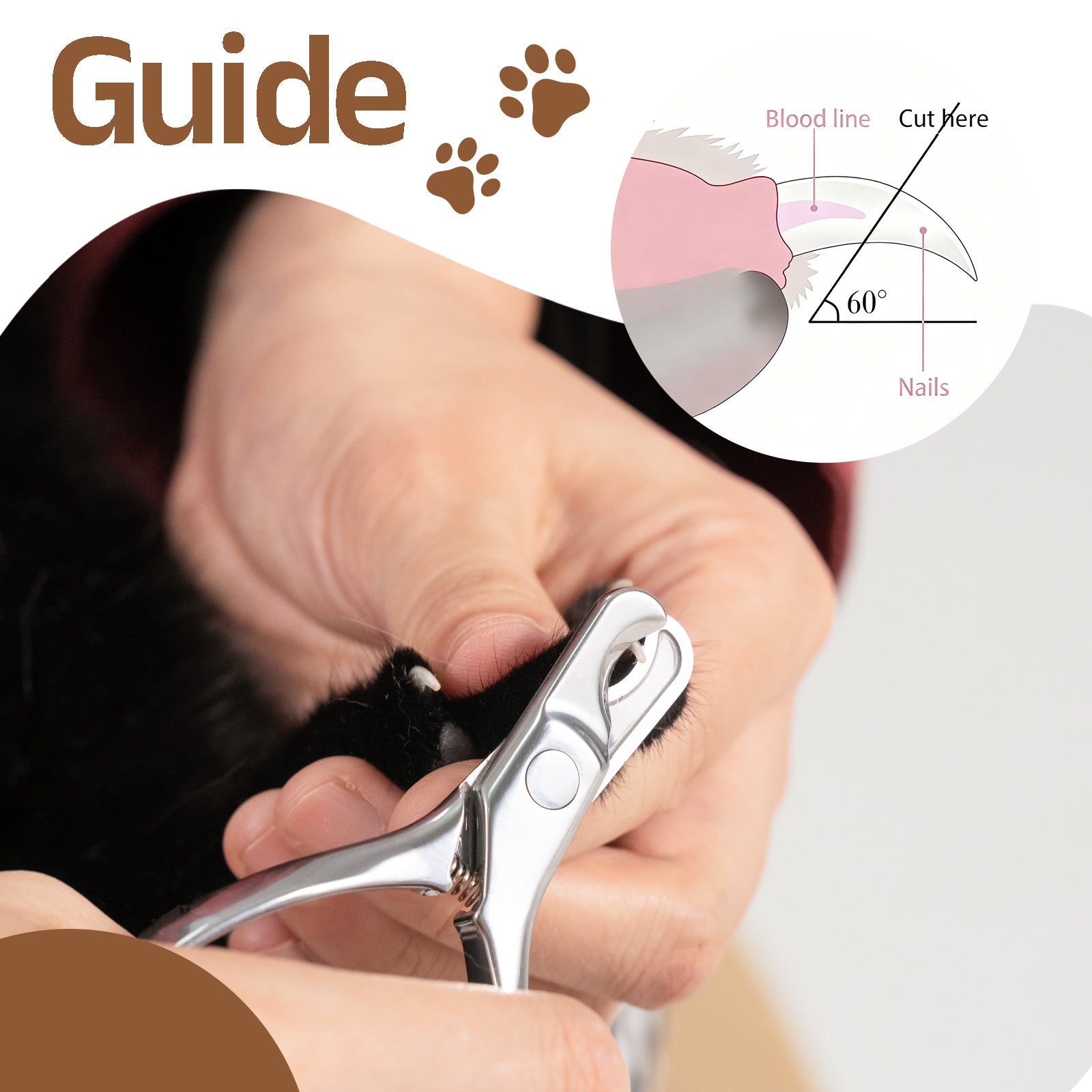 Stainless Steel Pet Nail Clipper with Nail File