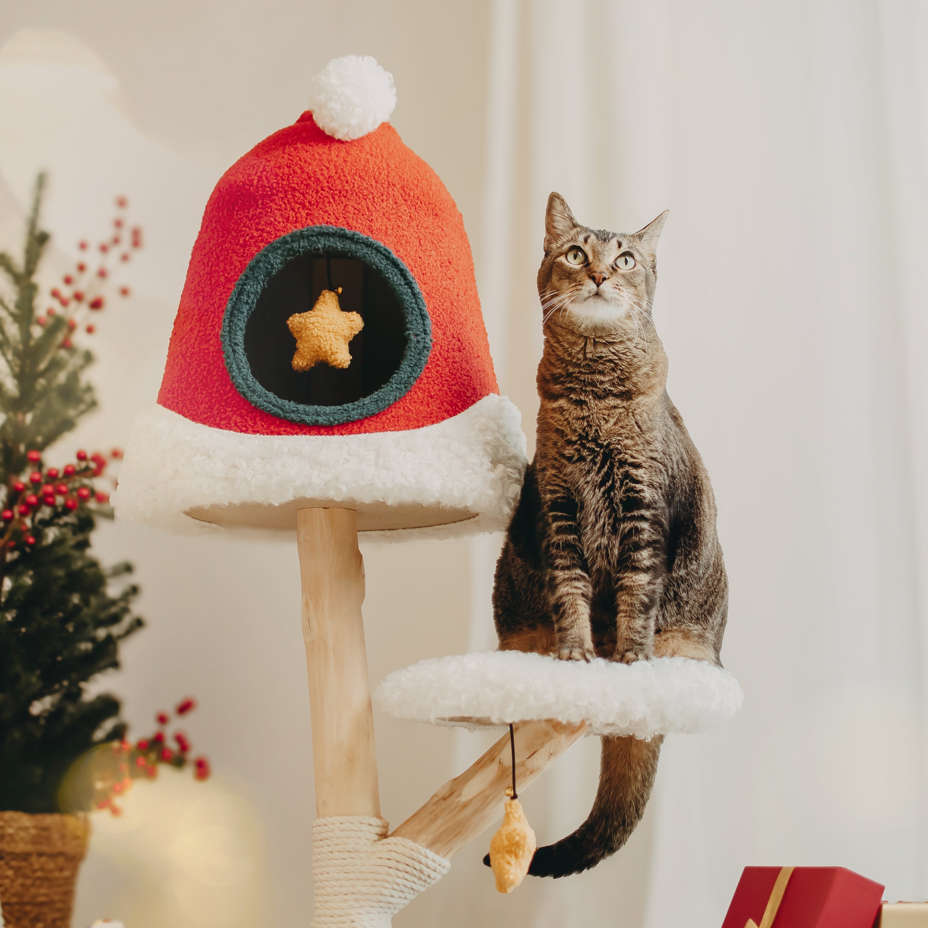 VIP 800 Meow Coins + $129.9 For Santa Hat Cat Tree
