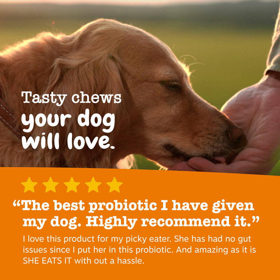 Chew No Poo Bites™ for Dogs