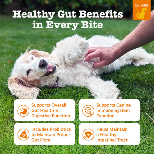 Ancient Elements™ Probiotic Bites™ for Dogs