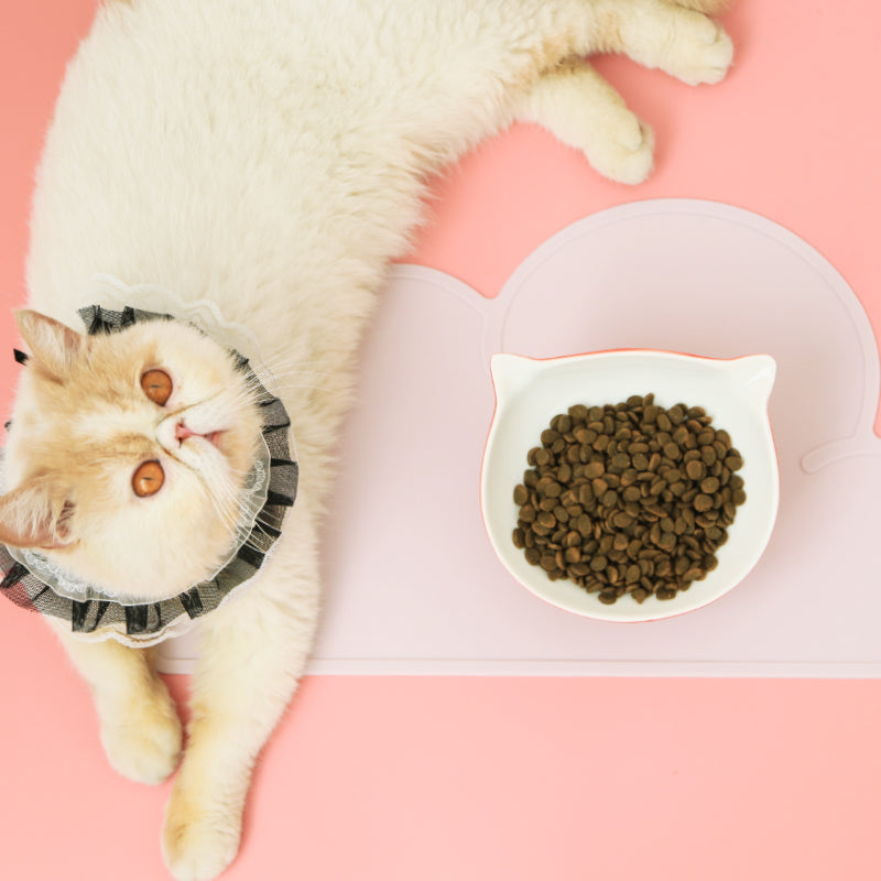 Cloud Shaped Pet Food Mat