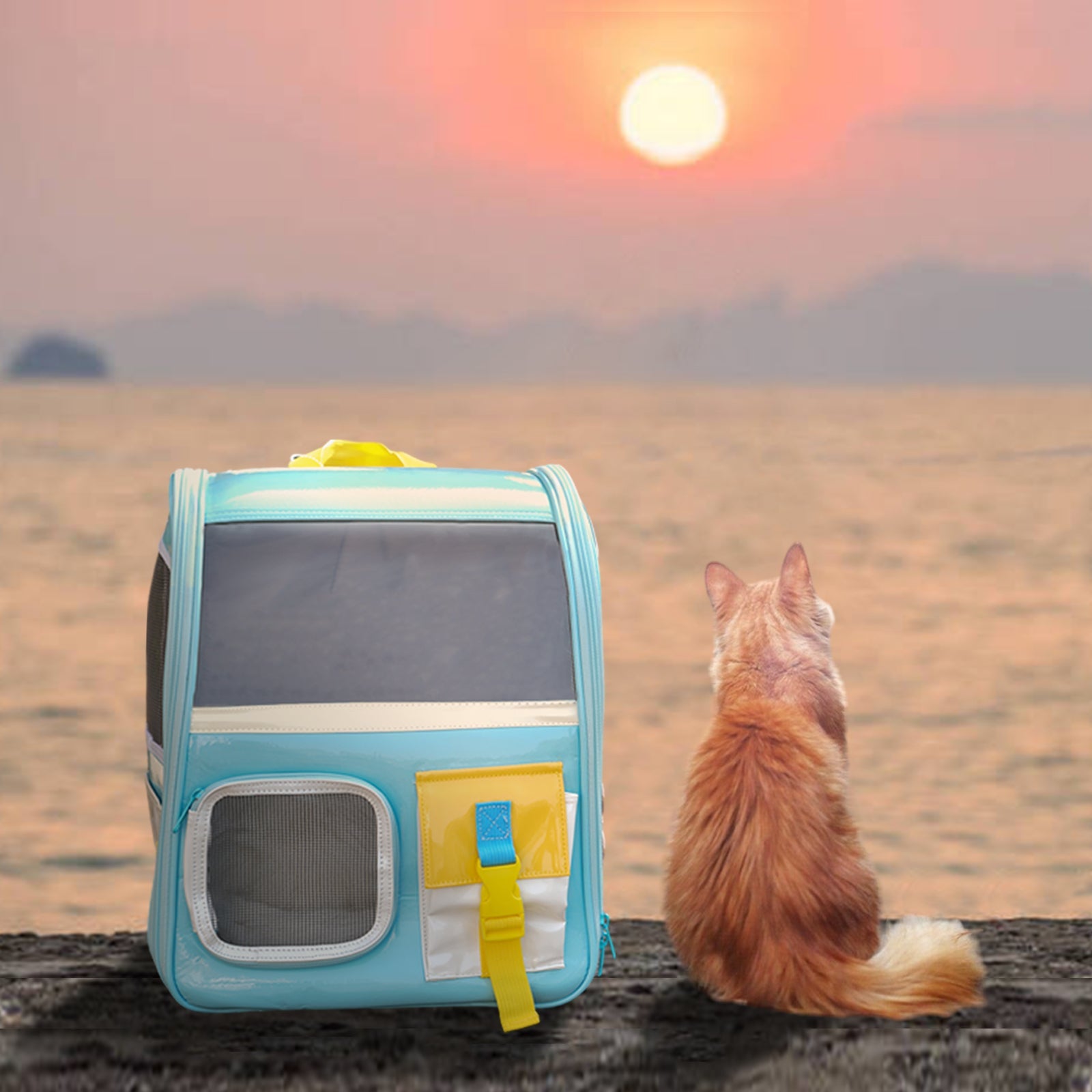 Old School Style Cat Backpack