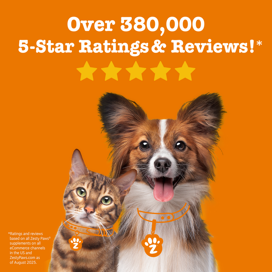 Vet Strength Pre, Post & Probiotic Bites for Dogs