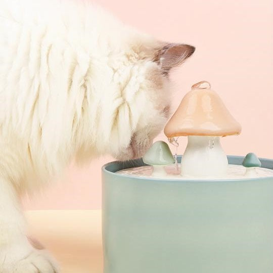 Mushroom Cat Water Fountain