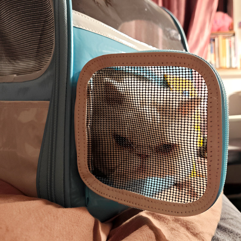 Old School Style Cat Backpack