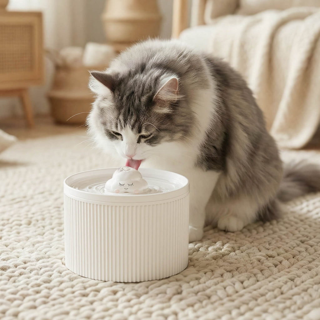 50oz Cloud Cat Water Fountain: Enhanced Filtering for Refreshing Hydration