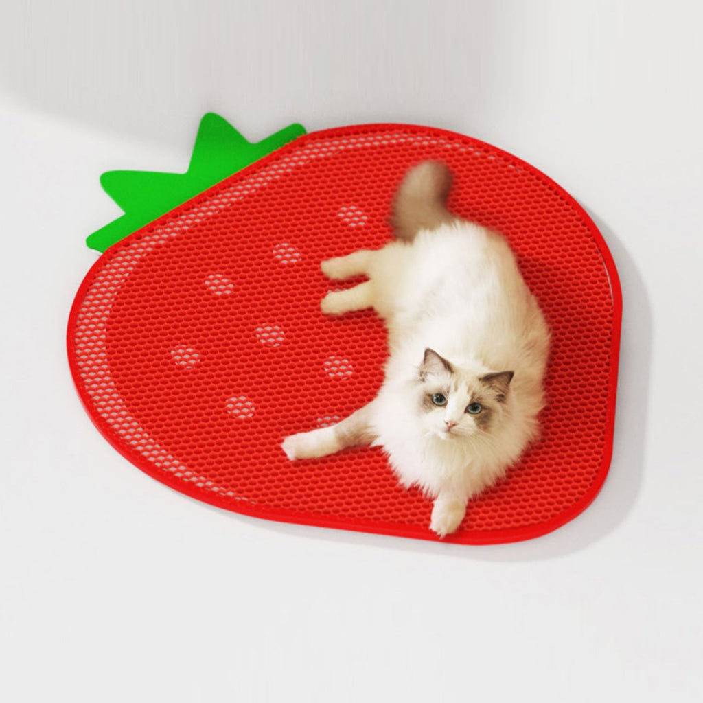 Double-Layer Strawberry Cat Litter Trapping Mat – Keep Your Floors Clean