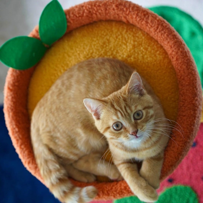 Fruit World Cat Tree