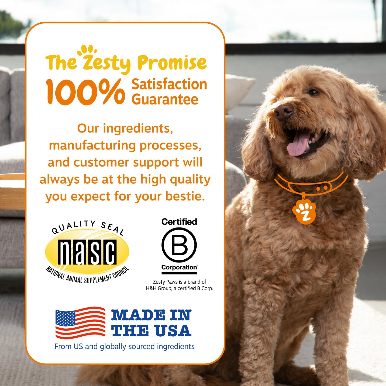 Probiotic Bites for Dogs