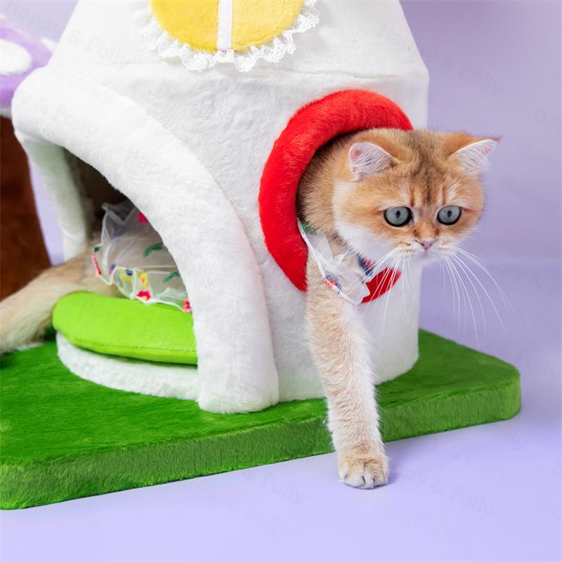 Mushroom House Series Set