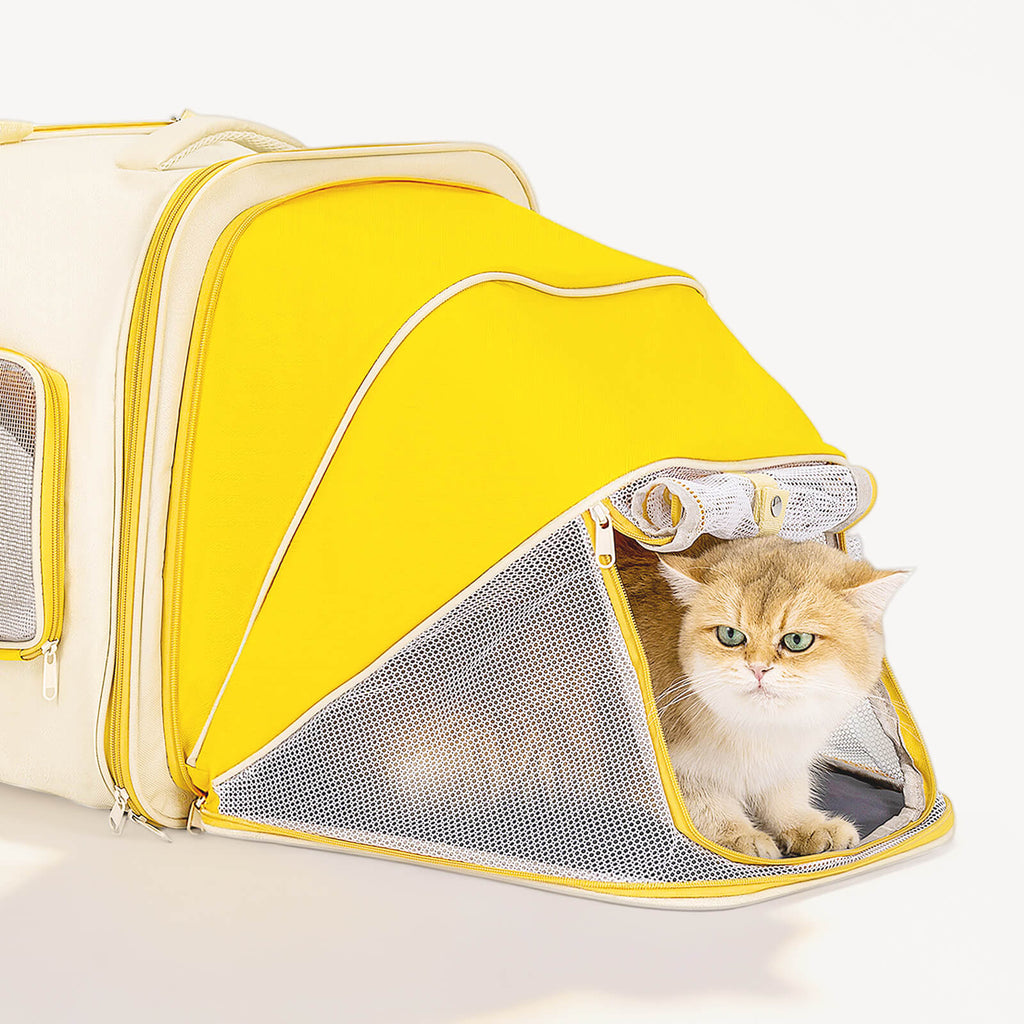 Portable Cat Backpack Carrier