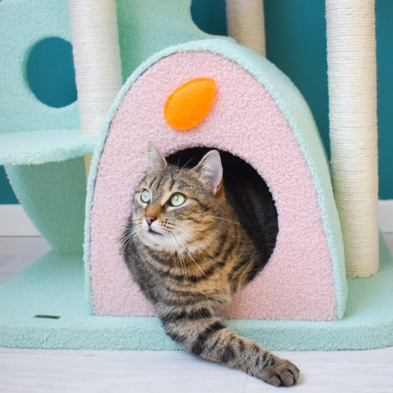 VIP 800 Meow Coins + $79.9 For Upgraded Wonderland Cat Tree-XL